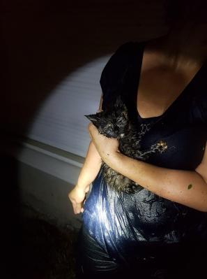 34560485 413133382500341 8161820481092059136 n