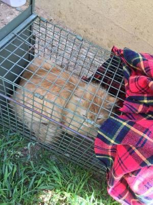 456953205 1971273566686307 8850399663670867312 n