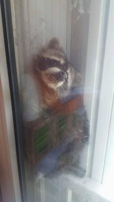 457507015 1974535579693439 1439724163809295402 n