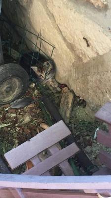 458479986 1979295209217476 8086906420577968419 n