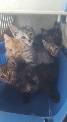 458700473 1980150669131930 1592208308489235070 n