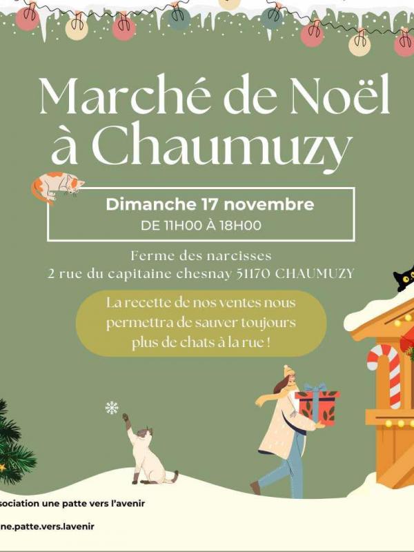 462555163 1495388231170885 3202063200118827632 n 1