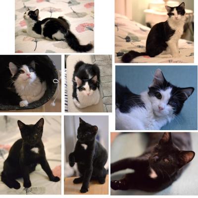 481471040 664747296224724 5340304019041497364 n