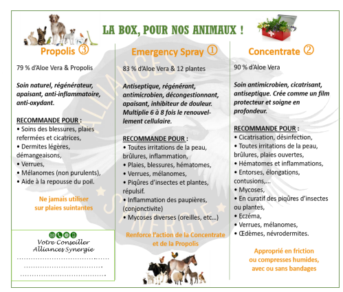 Capture d ecran 2025 03 09 132553